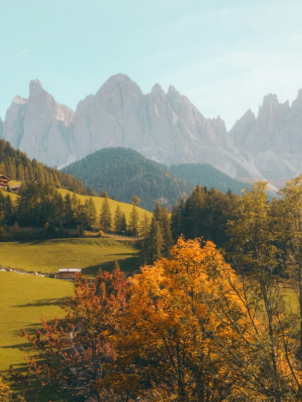 UTTAR BHARAT TRIP Natures 02